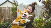 Young Asian woman hugging happy Corgi dog in backyard garden, both with joyful expressions, authentic candid moment of pet companionship and emotional connection.
