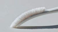 White feather quill pen on light gray background with soft shadow creates elegant minimalist composition for writing and literature themes.
