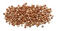 Coriander seeds scattered on white background, aromatic spice ingredient for cooking and seasoning, natural organic herb condiment isolated for culinary design.