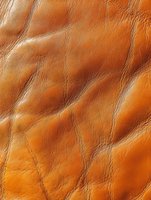 Natural brown leather texture with wrinkles and creases creating an organic pattern. Close-up macro photography shows rich caramel tones and surface details.