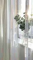 Sunlit eucalyptus branches in glass vase on windowsill with flowing white curtains creating soft, dreamy atmosphere for modern minimal home decor styling.