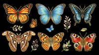 Colorful butterfly collection featuring monarch, blue morpho, and peacock species isolated on transparent background. Ready for t-shirt design, clipart, stickers, sublimation, and print-on-demand projects.