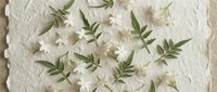Delicate white flowers and green leaves arranged on textured handmade paper, creating an elegant botanical flat lay composition.