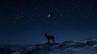 Silhouette of a deer standing on snowy mountain terrain under starry night sky with crescent moon, suitable for nature and wildlife backgrounds.