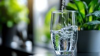 Fresh water pouring into clear glass with splash and bubbles against green plant background for healthy lifestyle and hydration concepts.