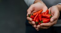 Fresh red bell peppers held in hands, showcasing vibrant produce for cooking, healthy eating, organic food marketing, recipe blogs, and culinary content.