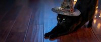 Black cat wearing witch hat lying on wooden floor with magical lighting and bokeh effects for Halloween celebration and spooky seasonal decorations.