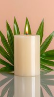 Burning white aromatic candle with tropical palm leaves on coral pink background. Minimalist spa and wellness composition with mirror reflection.