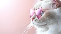 White cat wearing heart-shaped pink sunglasses against pink background, close-up portrait showing whiskers and soft fur. Trendy pet fashion concept.