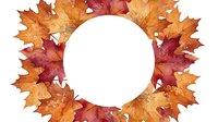 Autumn maple leaves frame with empty white circle center on transparent background for seasonal design projects and fall decorations.