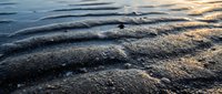 Gentle waves wash over sandy shore at golden hour, creating rippled texture and soft light reflections for coastal and nature backgrounds.