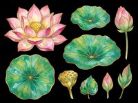 Lotus flower and lily pad botanical elements isolated on transparent background, ready for t-shirt design, clipart, stickers, sublimation and print-on-demand projects.