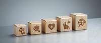 Wooden blocks with engraved symbols representing growth, protection, love, teamwork and global connection arranged in ascending size order on neutral surface.