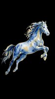 Watercolor blue and gold leaping horse isolated on transparent background, ready for t-shirt design, stickers, sublimation, print on demand, and clipart use.