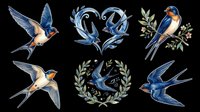 Watercolor swallows clipart set, isolated on transparent background. Six blue barn swallow designs for t-shirts, stickers, print on demand, sublimation, and digital crafts.