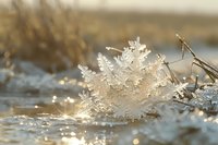 Delicate snowflake crystal formation on winter ground with natural sunlight creating magical bokeh effect and golden hour glow in nature macro photography.