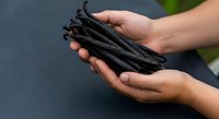 Hands holding fresh vanilla beans with pods displayed for culinary use, cooking ingredient preparation.