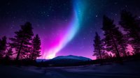 Vibrant aurora borealis dancing across night sky with pink and blue colors over snowy mountain landscape, silhouetted pine trees frame magical northern lights display.