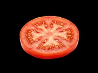Fresh tomato slice isolated on transparent background, ready for culinary design, recipe graphics, food packaging, restaurant menus, cooking blogs, and print-on-demand products.
