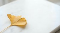 Golden ginkgo leaf on white paper surface creating minimalist autumn composition for seasonal design projects and natural botanical themes.
