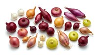 Fresh colorful onion varieties including red, white, yellow and shallots arranged on white background for cooking and culinary ingredient concepts.