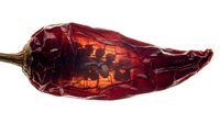 Dried red chili pepper with wrinkled skin and stem isolated on white background, suitable for food, cooking, spice, and culinary design projects.