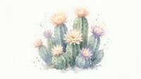 Watercolor cactus cluster with blooming pink and cream flowers on white background, isolated botanical illustration for desert themed designs.