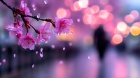 Dreamy spring scene with pink cherry blossoms against blurred bokeh background and falling petals, silhouette of person walking in distance creates romantic mood.