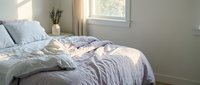 Unmade bed with lavender bedding and white pillows in bright, minimalist bedroom with natural sunlight from window and potted plant on nightstand.