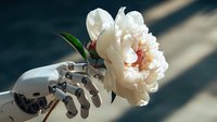 White robotic hand holding delicate peony flower symbolizing harmony between technology and nature in artificial intelligence concept.