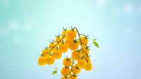 Golden sea buckthorn berries with leaves floating against soft blue background, isolated for design use on packaging, wellness products, and nutritional supplements.