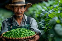 Asian farmer in straw hat holding woven basket full of fresh green coffee beans during harvest season on plantation, sustainable agriculture and coffee production.