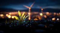 Young green plant growing from soil against blurred city lights at night, glowing blue flowers create magical atmosphere in urban environment.