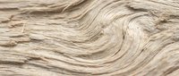 Closeup of natural wood grain texture with flowing wavy patterns in light beige and tan tones, suitable for backgrounds and design projects.