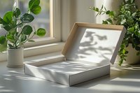 Open white box with natural sunlight and shadow play on windowsill, surrounded by green potted plants creating serene minimalist composition.