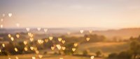 Romantic heart-shaped bokeh lights overlay blurred countryside landscape at golden hour sunset creating dreamy atmospheric background for love themes.