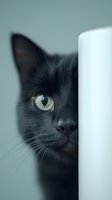 Curious black cat peeking from behind white wall, close-up portrait showing one green eye and partial face against soft teal background.
