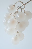 Delicate white grapes on branch against light background, soft ethereal glow creates minimalist artistic composition for modern decor and food styling.
