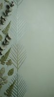 Minimalist botanical flat lay with dried eucalyptus leaves and fern fronds on sage green background with copy space for natural organic design projects.