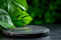Dark marble round platform with tropical monstera leaves creating natural product display background for cosmetics and luxury items.
