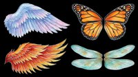 Watercolor wings collection featuring angel wings in soft blue and pink tones, vibrant monarch butterfly wings in orange and black, fiery phoenix wings in red and gold, and delicate dragonfly wings in turquoise and green. Isolated on transparent background, ready for t-shirt designs, clipart, stickers, and print-on-demand projects.