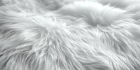 Luxurious white fur texture closeup showing soft, fluffy fibers in natural light. Abstract furry background with delicate strands creating gentle waves and patterns.