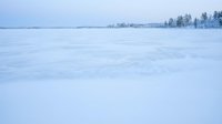 Frozen lake covered in pristine white snow with evergreen forest line on horizon under overcast winter sky creating serene arctic landscape scene.