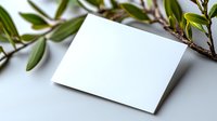Blank white business card mockup with green olive branch on light background, natural minimal composition for branding presentation.