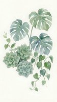 Watercolor tropical plants with monstera leaves, succulents and trailing vines in soft green tones on light background for botanical home decor.