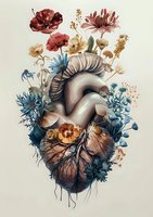 Anatomical heart with blooming flowers in vintage style, featuring red poppies, blue cornflowers and beige roses growing from arteries on light background.