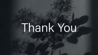 Thank You text on dark moody background with soft floral shadows, elegant minimal design for greeting cards and social media posts.