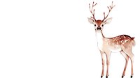 Young spotted deer with branching antlers stands gracefully on white background. Watercolor style woodland creature for nursery art and children decor.