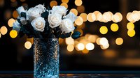 White roses in textured blue glass vase against dark background with golden bokeh lights creating romantic mood for wedding, anniversary or special occasion celebration.