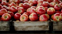 Fresh red apples in rustic wooden crates at farmers market. Natural organic produce with rich color and texture for healthy eating and harvest concept.